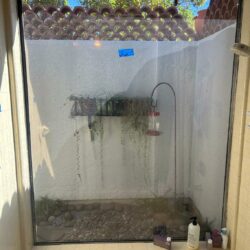 IMG-20250207-WA0005