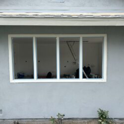 IMG-20250207-WA0030